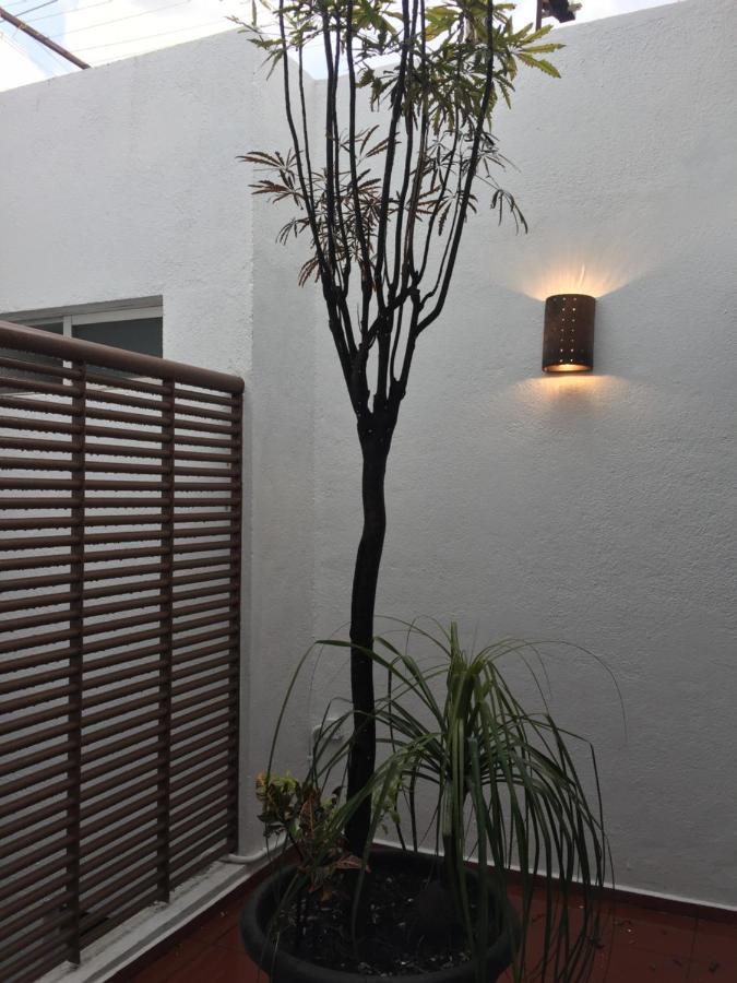 Residence Las Trojes Cdmx Мексико Сити Екстериор снимка